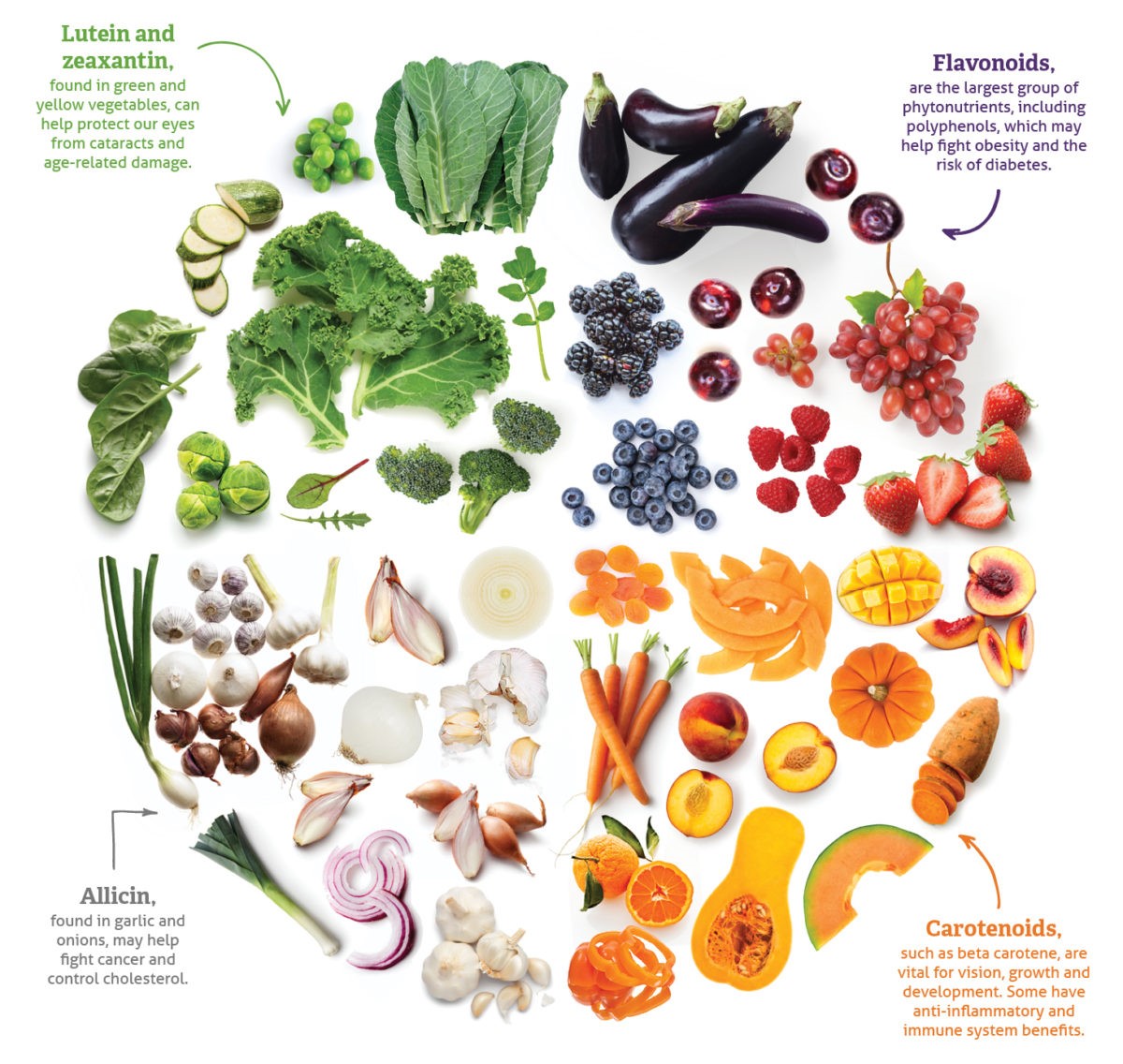 Phytonutrients_Infographic-v2-1200x1714